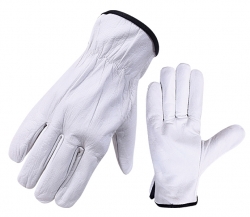 Driving Gloves (Unlined )